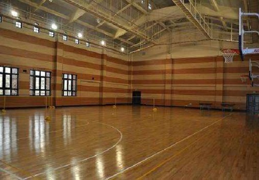 籃球運動地板